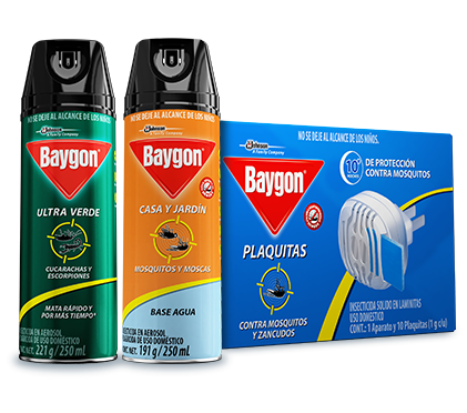 Insecticida En Aerosol, Contra Cucarachas E Insectos Rastreros, Baygon. 235  ml ( 7.9 fl oz) - iTengo
